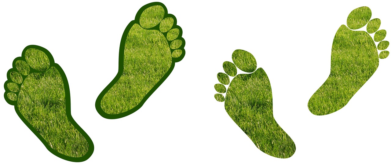 Almost 50% Of Local Authorities Do Not Know Their Own Carbon Footprint