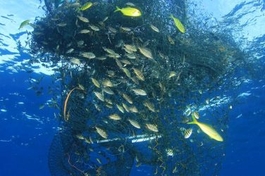 Advanced cable protection crafted from discarded fishing nets