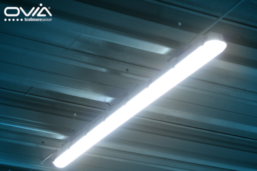 Ovia LED luminaires