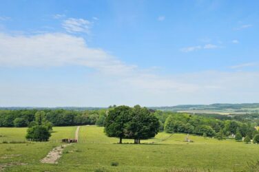 ‘Stunning’ Kent views enhanced by UK Power Networks’ investment