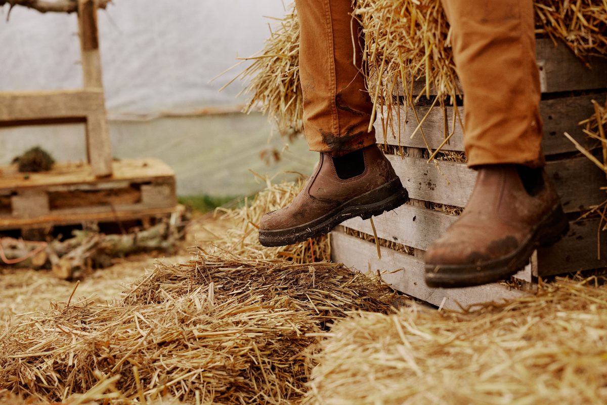 Carhartt launches Occupational Work Boot range