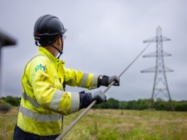 Electricity towers removed for new Sussex development