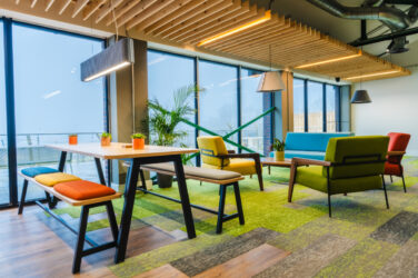 Lighting the way to a sustainable future