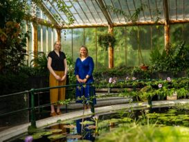 Kew, Schneider establish partnership of sustainability